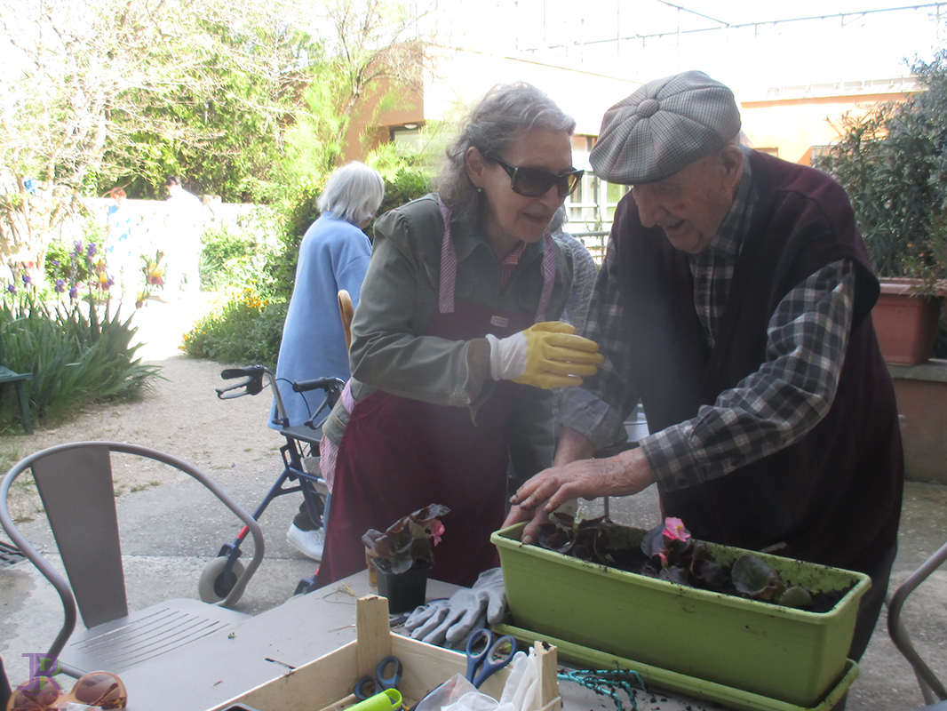 Atelier jardinage Vie au quotidien de la résidence Jehan Rippert - St Saturnin les Apt Ehpad en Vaucluse